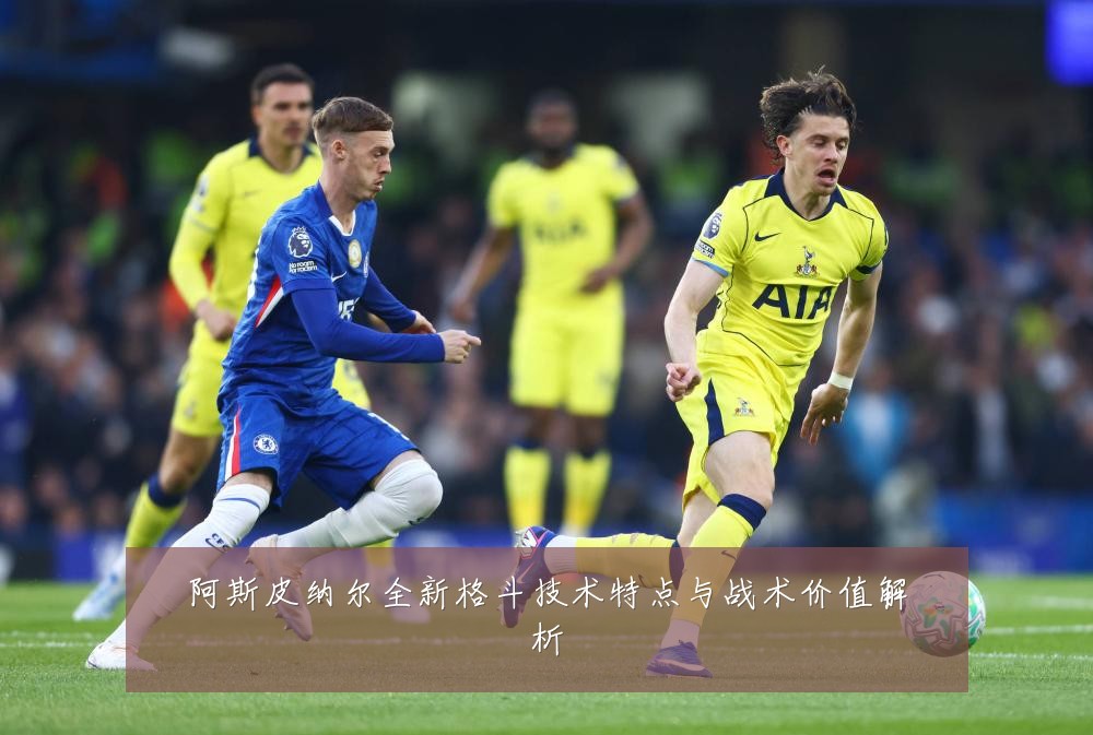阿斯皮纳尔全新格斗技术特点与战术价值解析