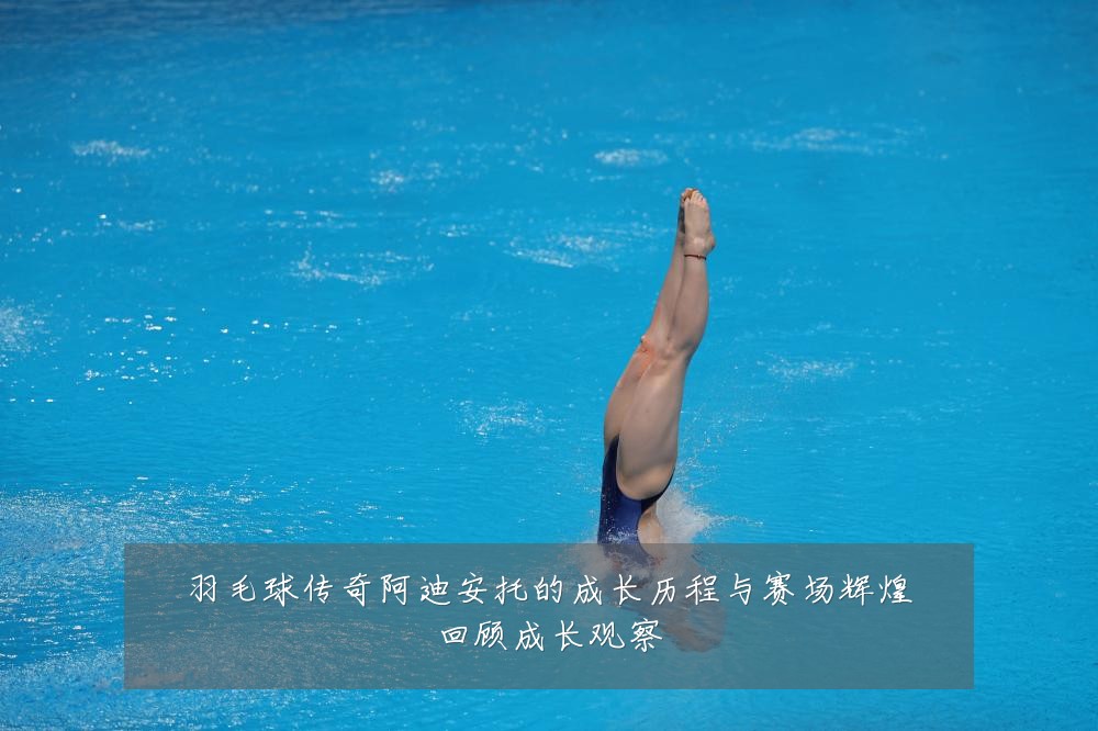 羽毛球传奇阿迪安托的成长历程与赛场辉煌回顾成长观察